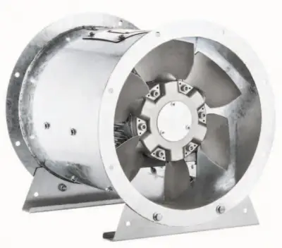 Termo Fanlar